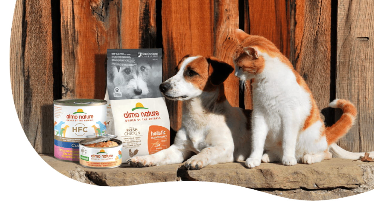 Almo Nature cat and dog